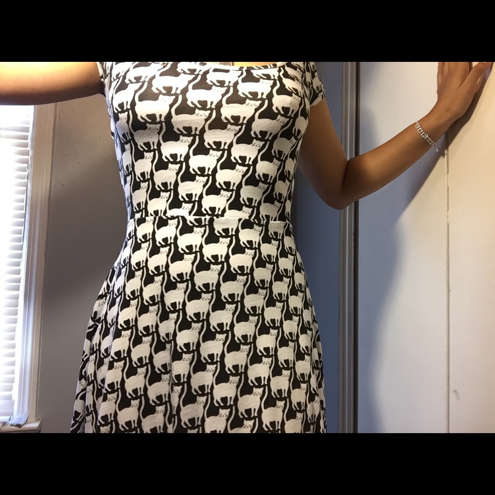 Cat dress
